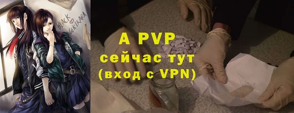гашик Алексин