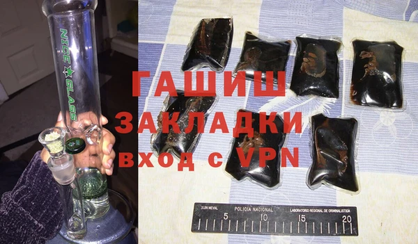 гашик Алексин