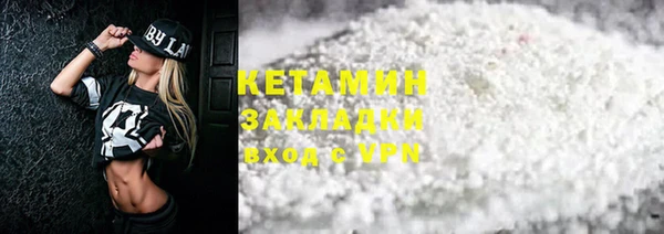 гашик Алексин