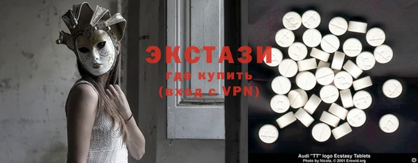 гашик Алексин