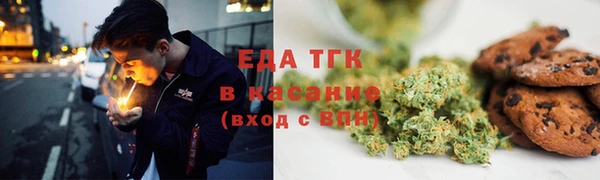 гашик Алексин