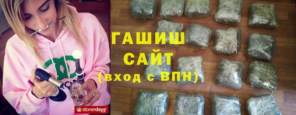 гашик Алексин