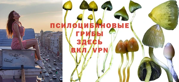 jwh Алзамай