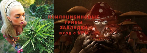 тгк Алексеевка